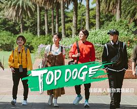 海角视频《TOP DOG》免费在线观看