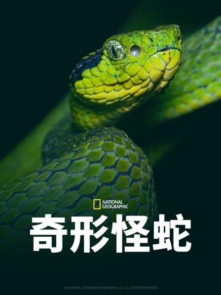 海角论坛《奇形怪蛇》免费在线观看